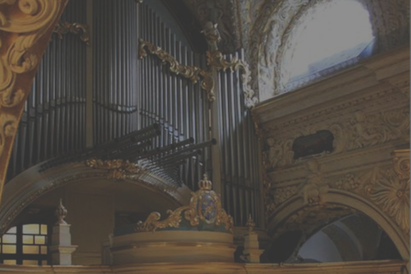 zdjecie organow w czestochowie