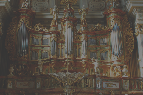zdjecie organow w warszawie