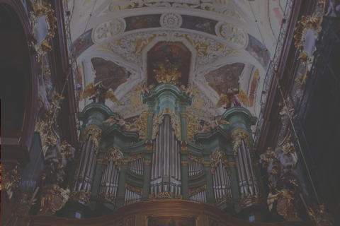 zdjecie organow w czestochowie
