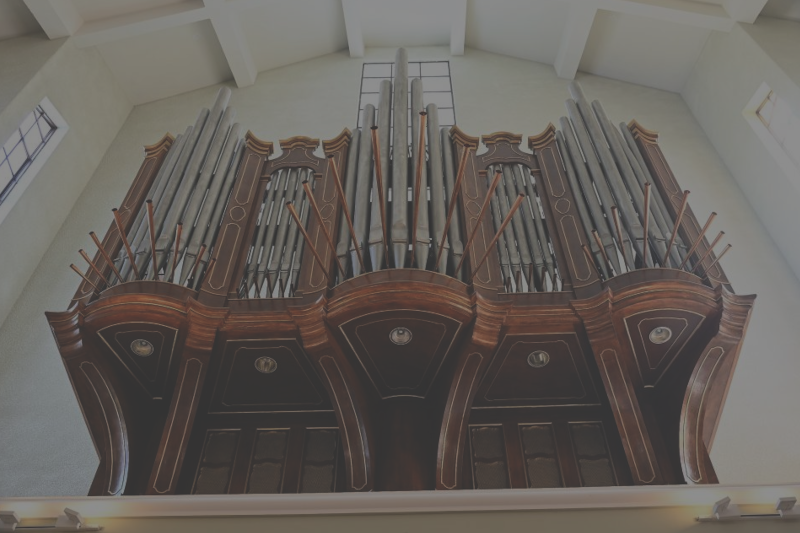 zdjecie organow w lublinie