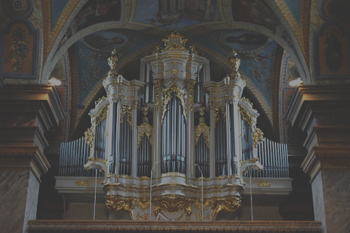 zdjecie organow w kielcach