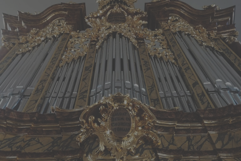 zdjecie organow w tuchowie